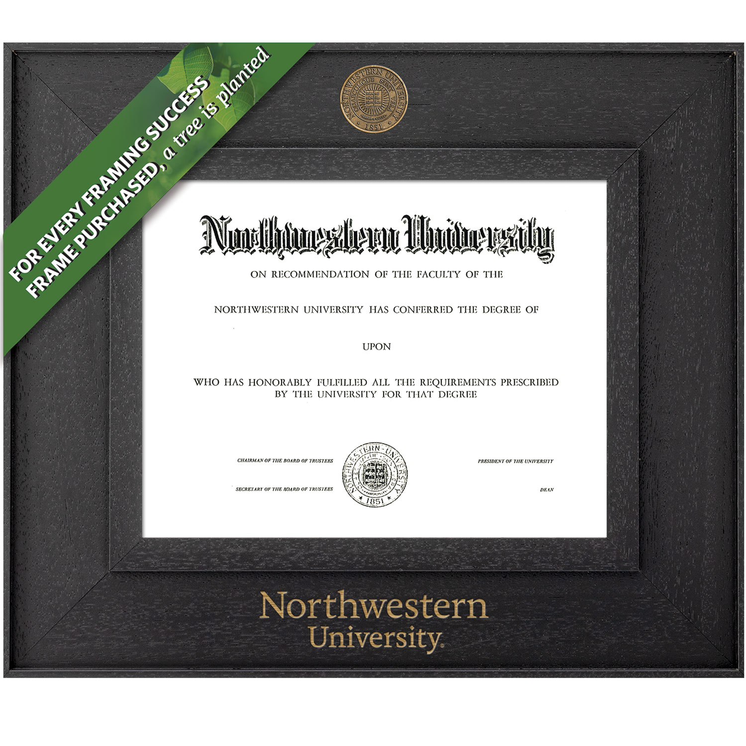 Framing Success 8.5 x 11 Cavalier Antiqued Medallion Bachelors, Masters Diploma Frame